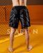 Мужской компрессионный костюм 4в1 Gladiator 3.0 black: Рашгард, футболка, шорты, леггинсы 127512127870013511237 фото 19